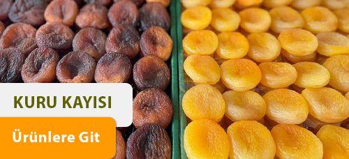 Kuru Kayısı